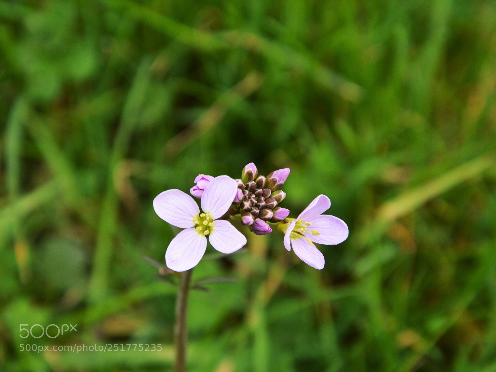 Nikon D3200 sample photo. Untitled photography