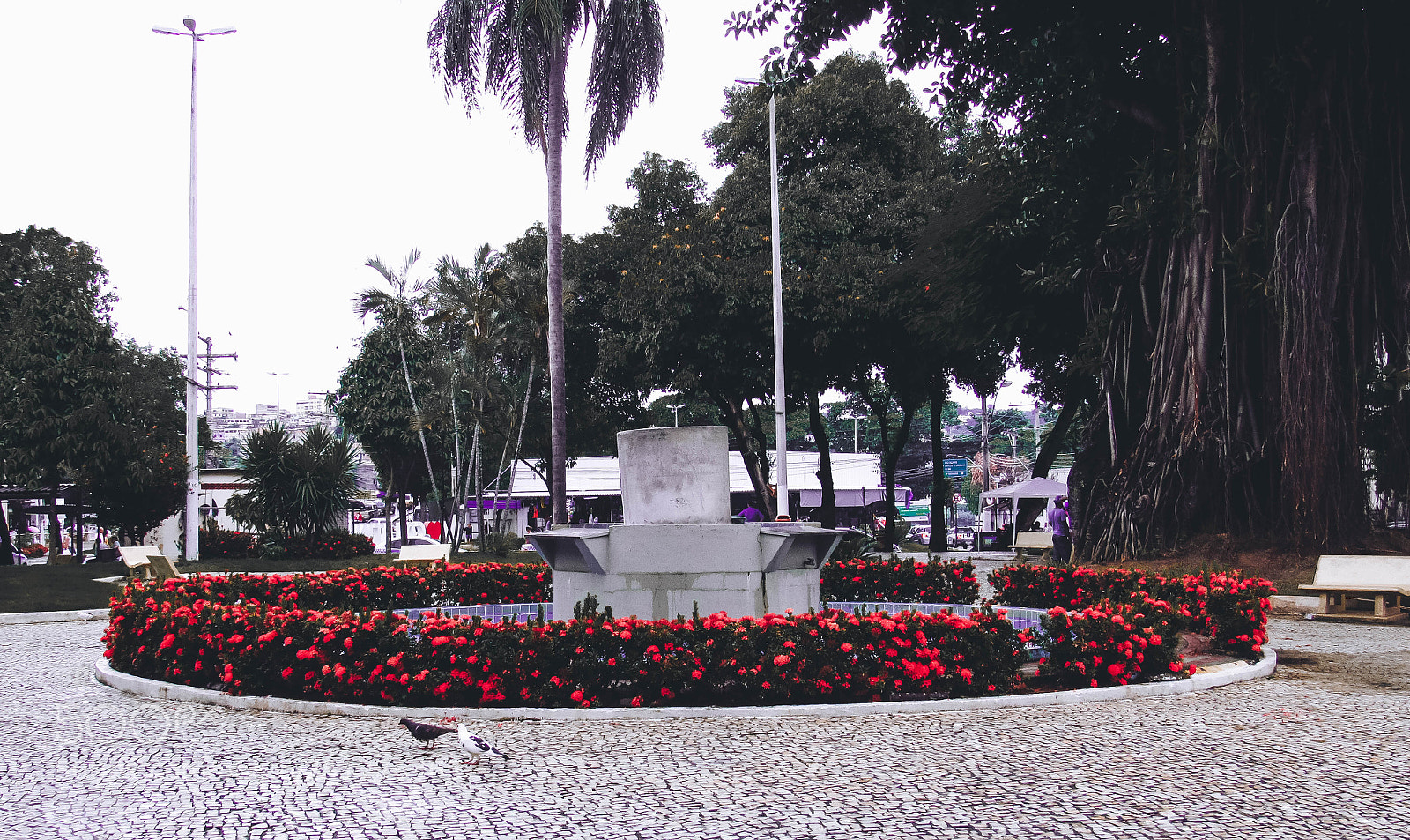 Canon PowerShot SX530 HS sample photo. Flowers and a fountain photography