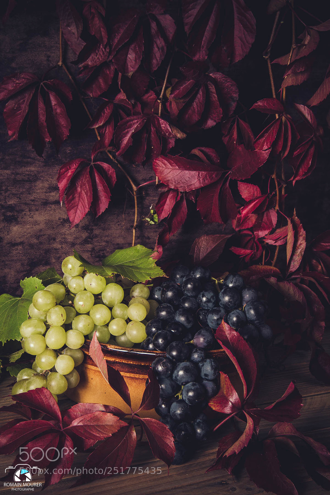 Canon EOS 70D sample photo. Nature morte - raisin photography