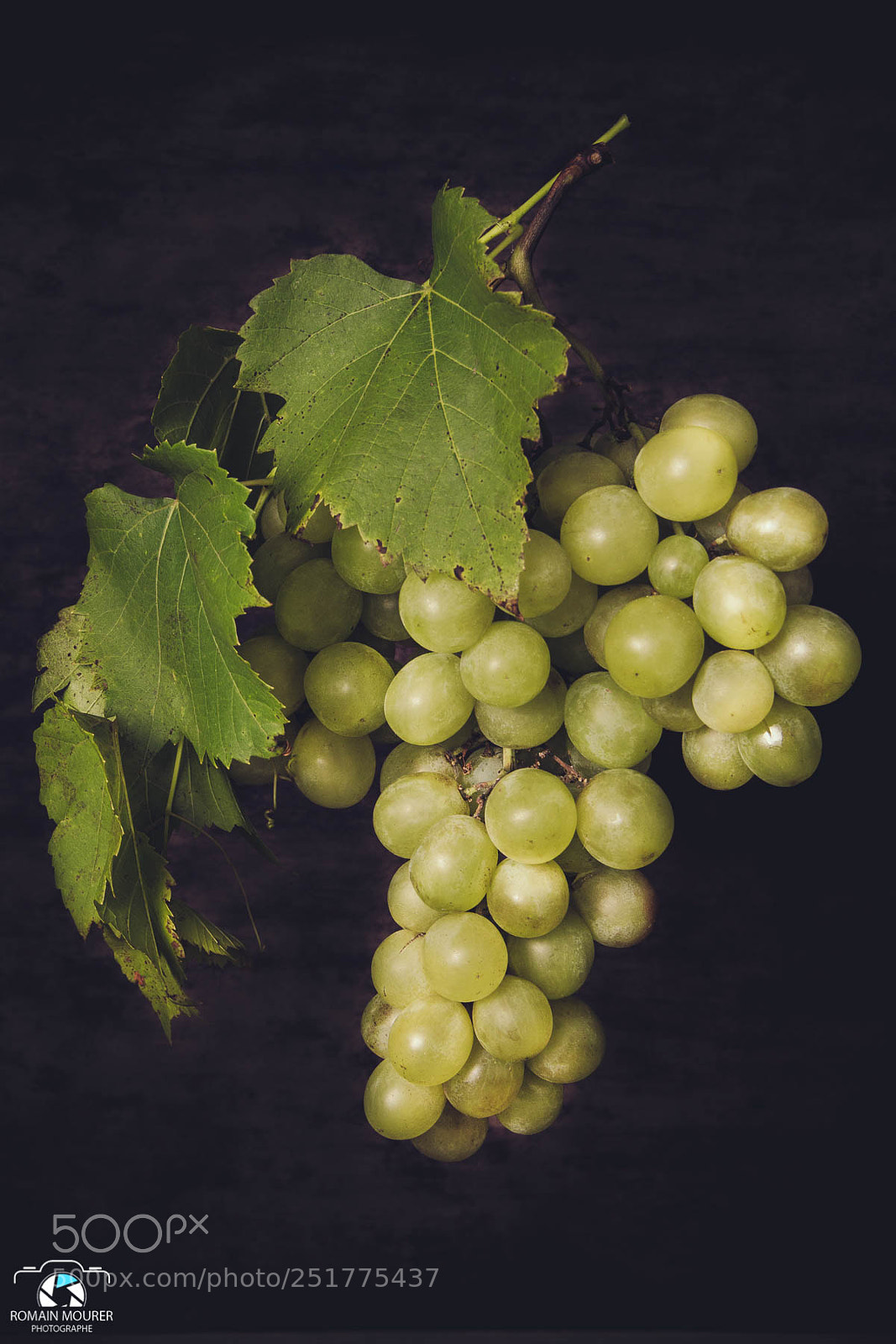 Canon EOS 70D sample photo. Nature morte - raisin photography