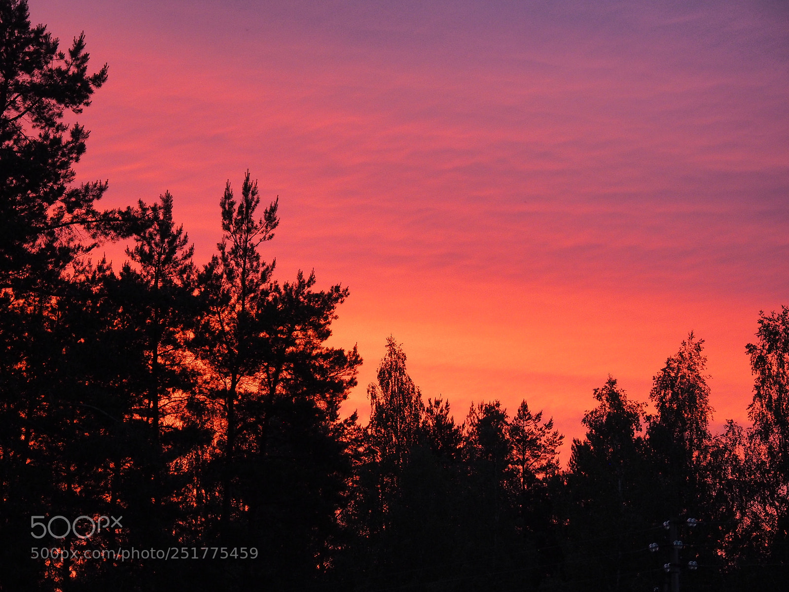 Olympus OM-D E-M1 sample photo. Pink sunset photography