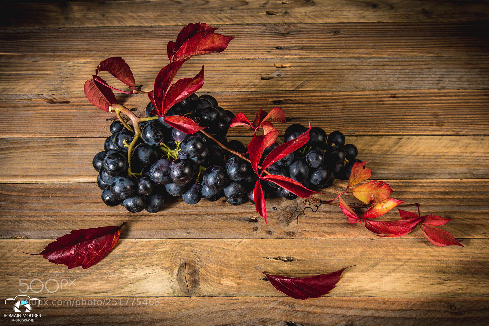 Canon EOS 70D sample photo. Nature morte - raisin photography