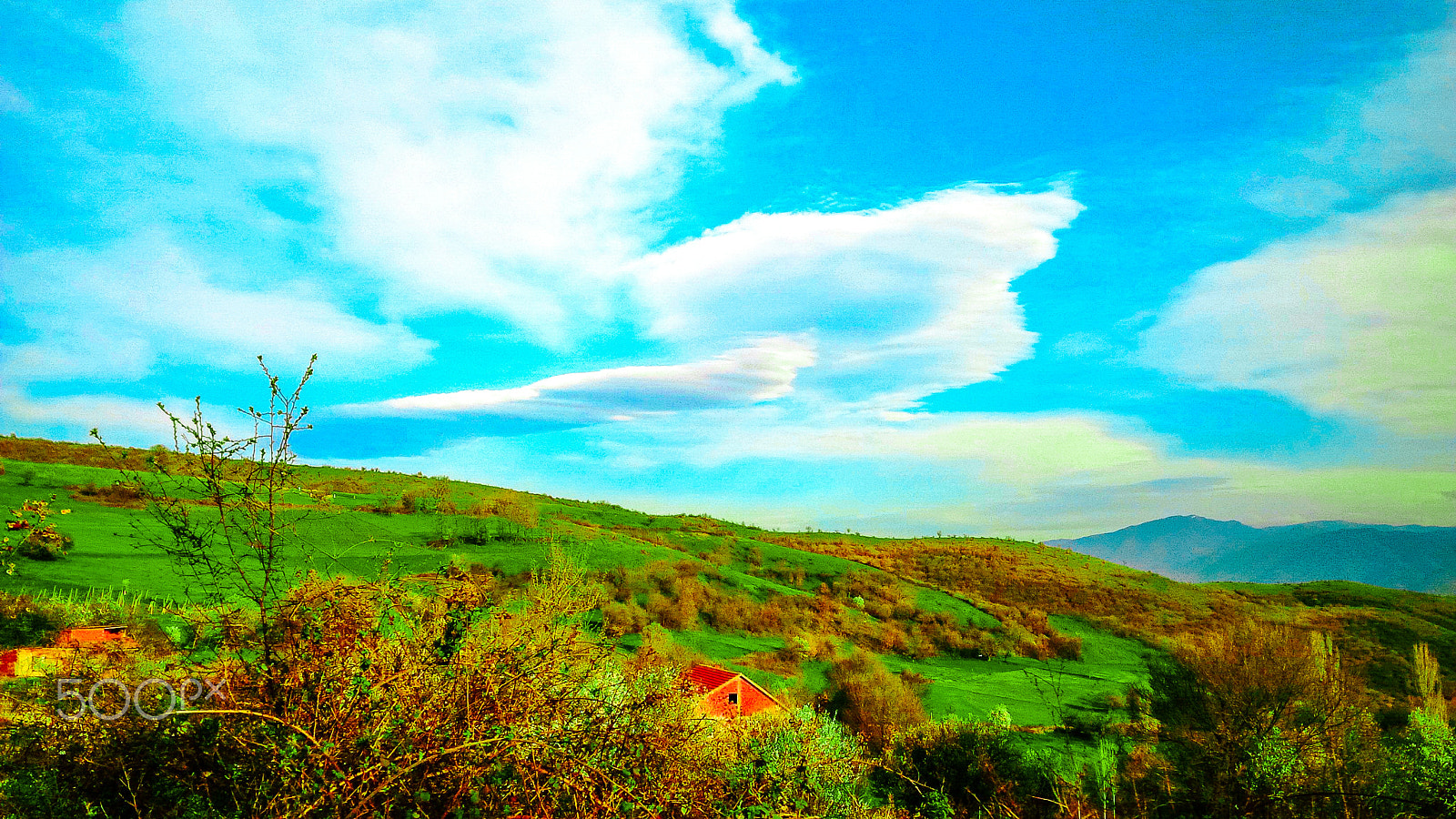 BlackBerry Z10 sample photo. In the middle of nowhere photography