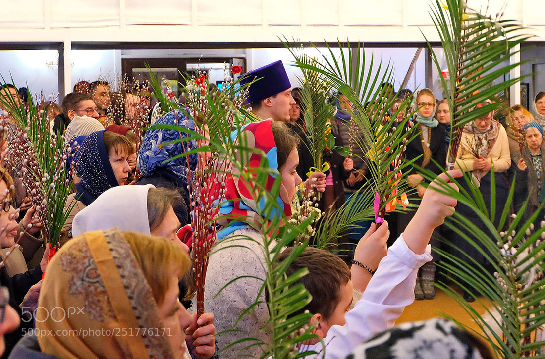 Fujifilm X-M1 sample photo. Temple. palm sunday. photography