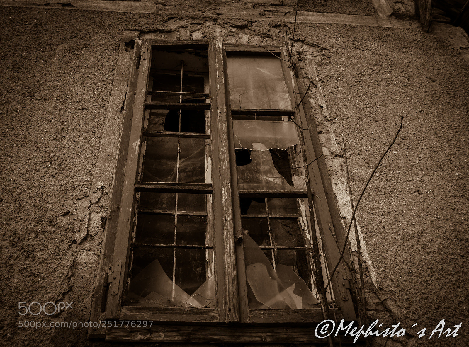 Canon EOS 70D sample photo. Untitled photography