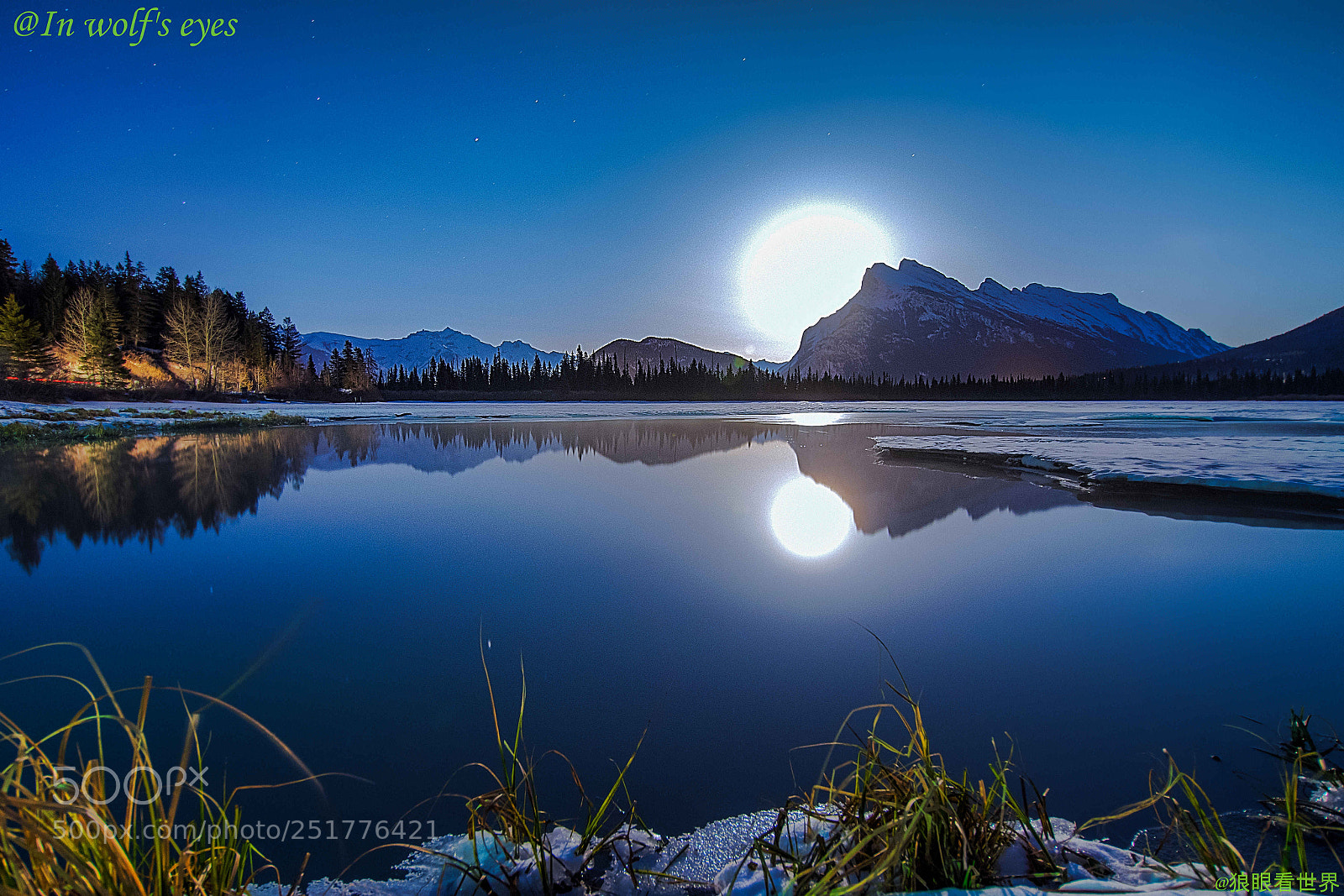 Nikon D500 sample photo. Blue moon, canada photography