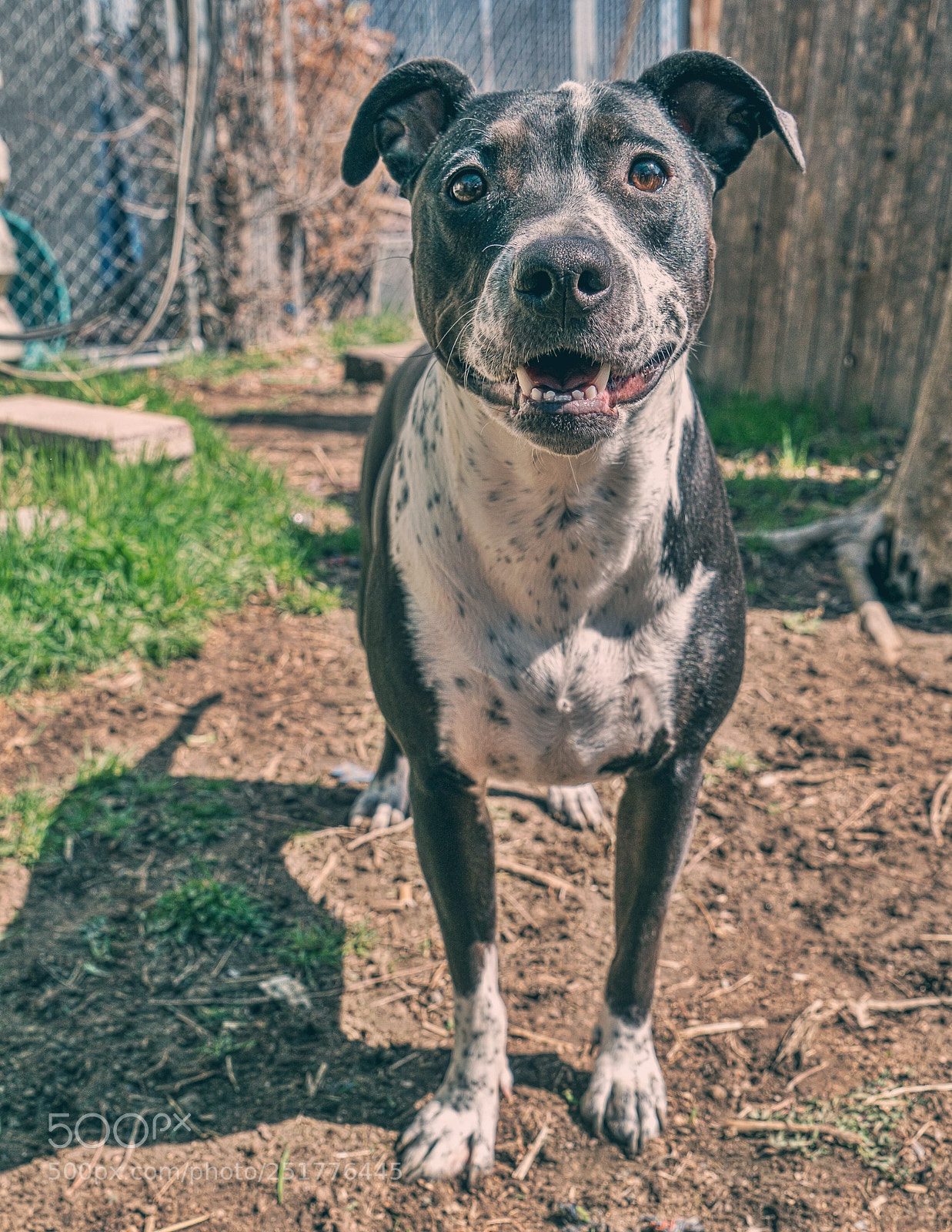 Sony a9 sample photo. Karma play photography