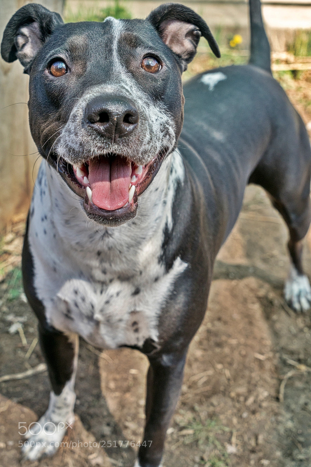 Sony a9 sample photo. Karma play photography