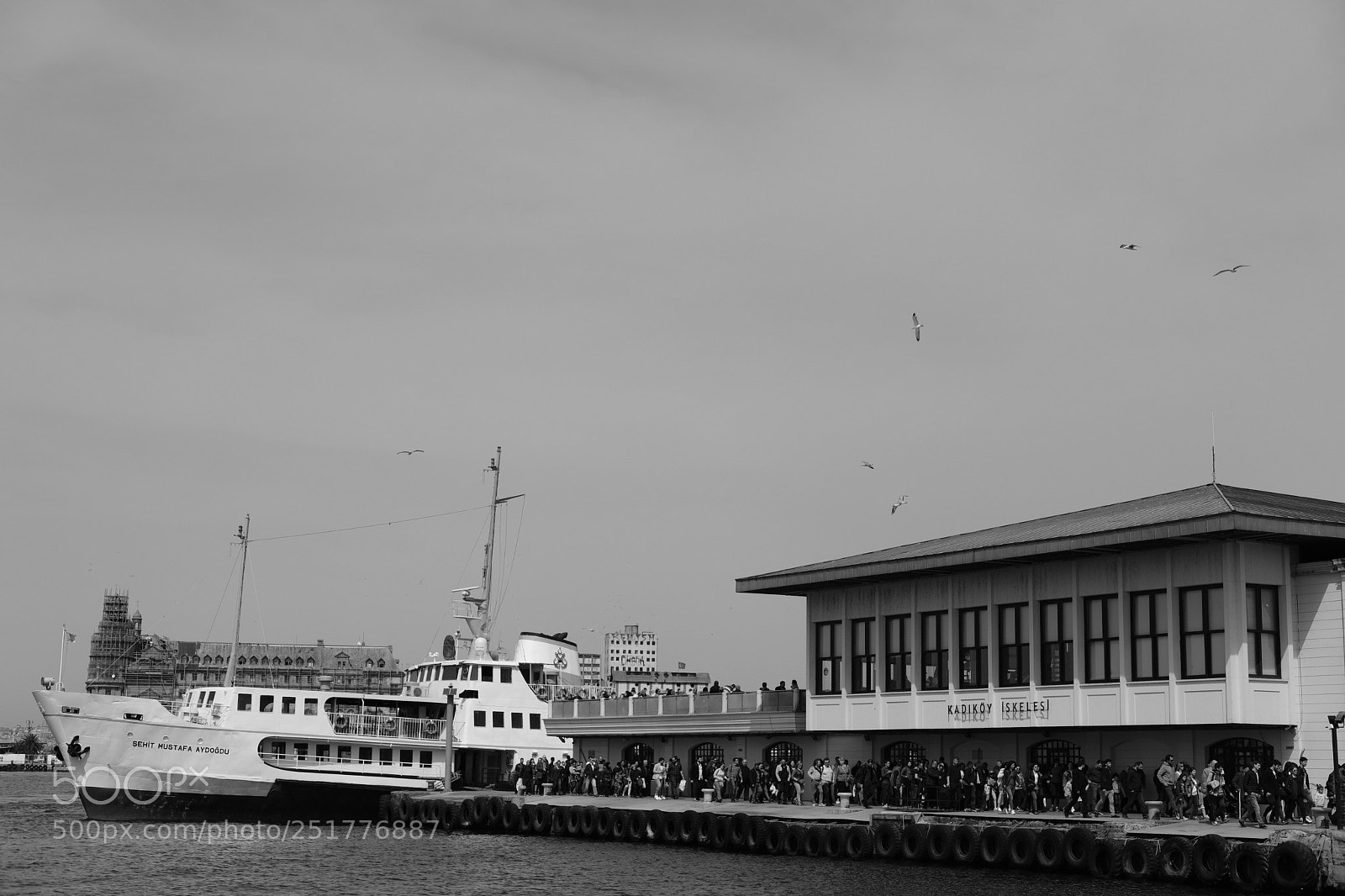 Fujifilm X-T20 sample photo. Untitled photography