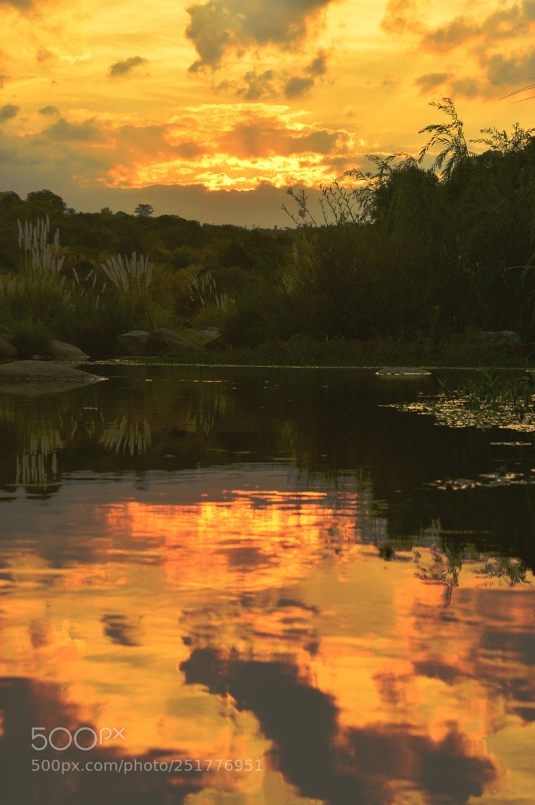 Nikon D3200 sample photo. Reflection. photography