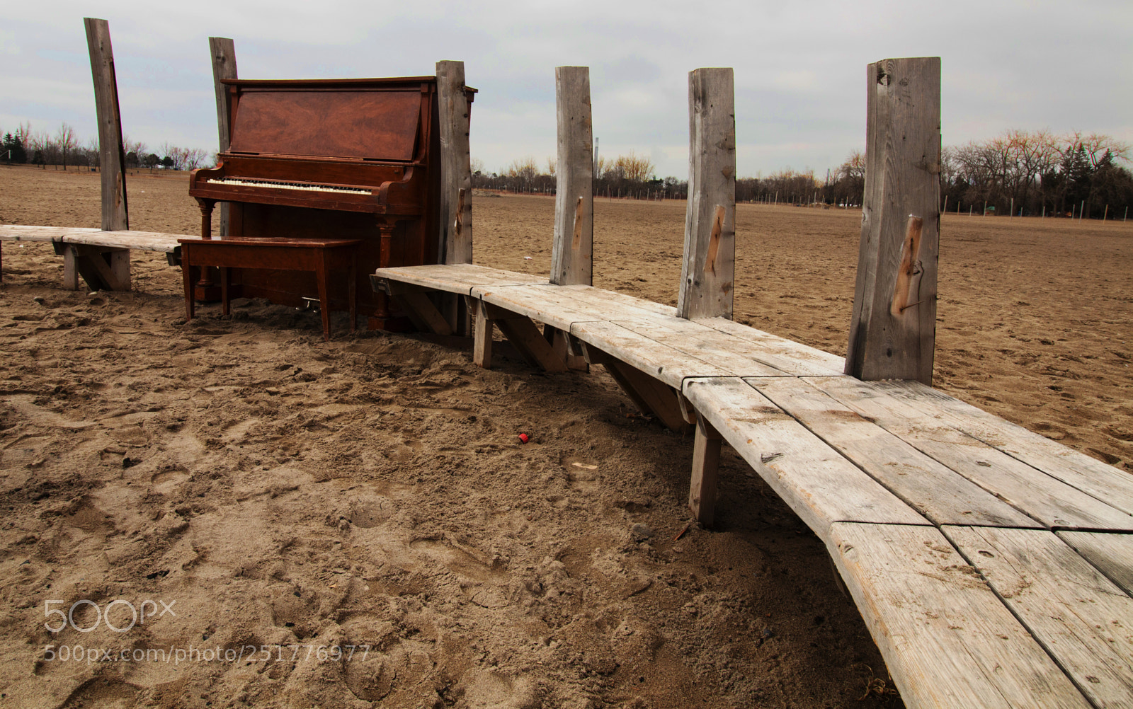 Canon EOS 70D sample photo. Tickle the ivories at photography