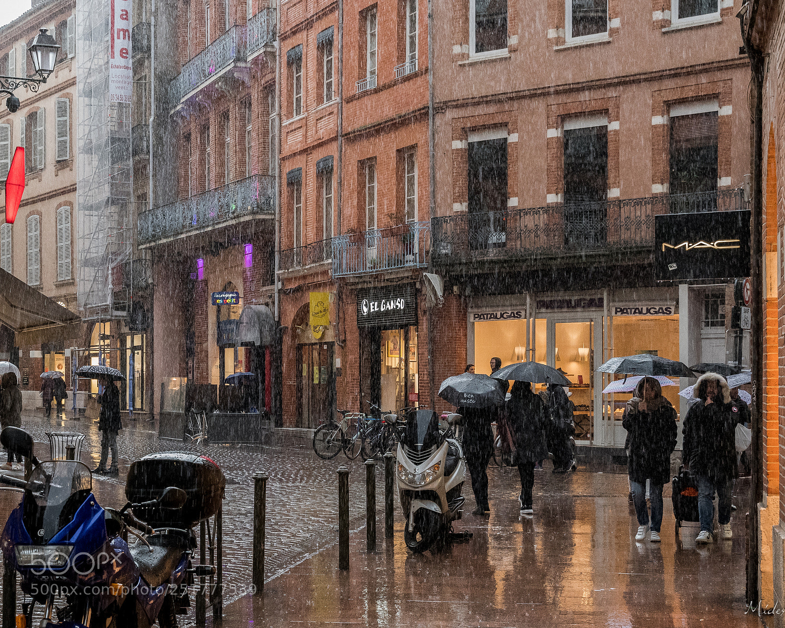 Nikon D7500 sample photo. Rainy day photography