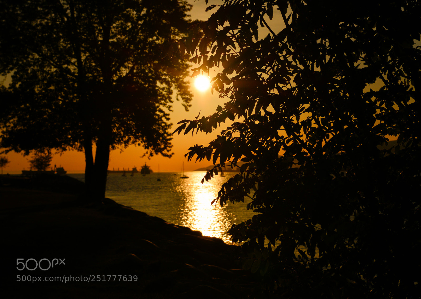 Nikon D800 sample photo. Vancouver sunset photography