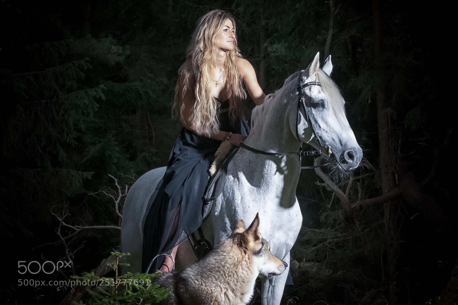 Nikon D800E sample photo. Alice photography