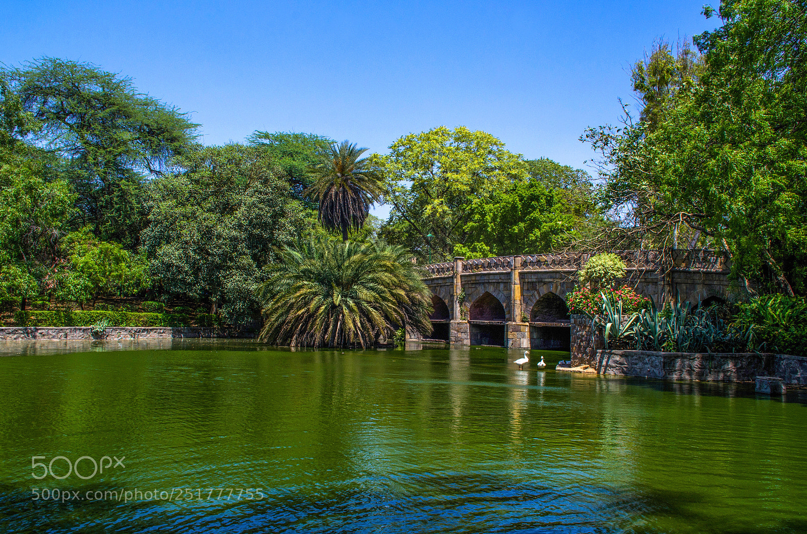 Nikon D7000 sample photo. Green eden photography
