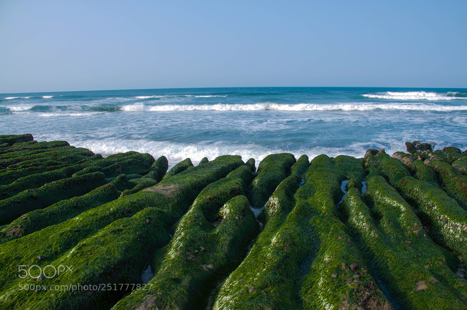 Canon EOS 50D sample photo. Laomei green reef photography
