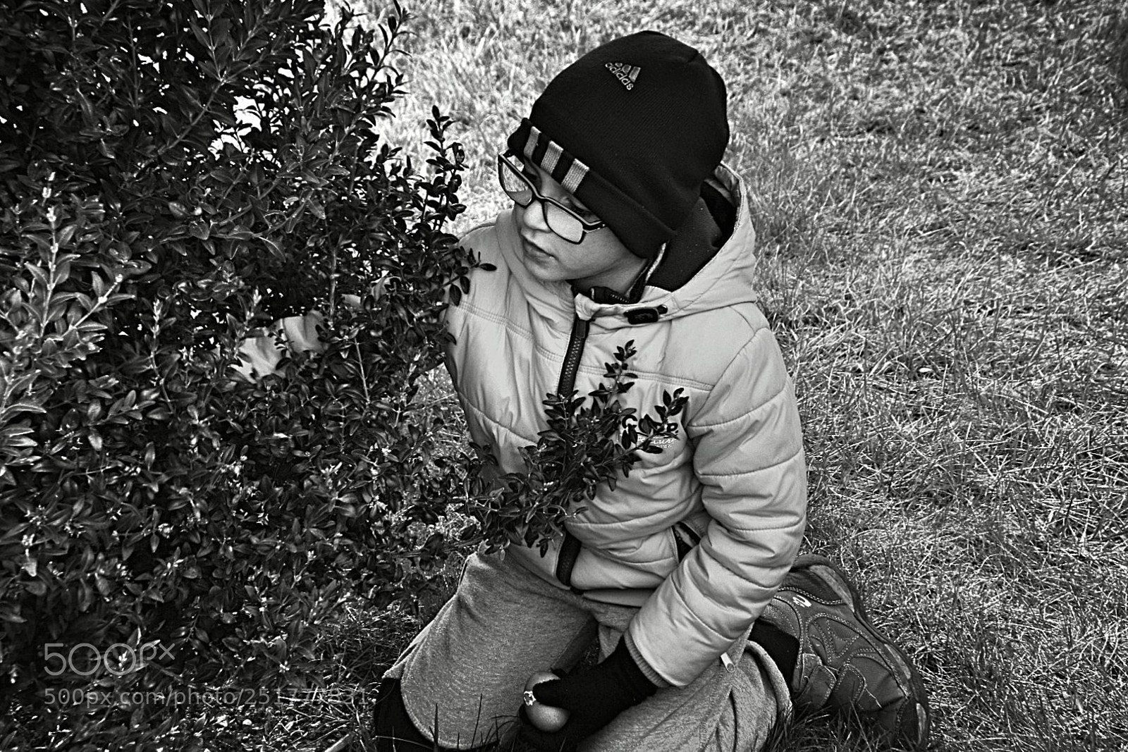 Nikon D5300 sample photo. Wo ist das letzte photography