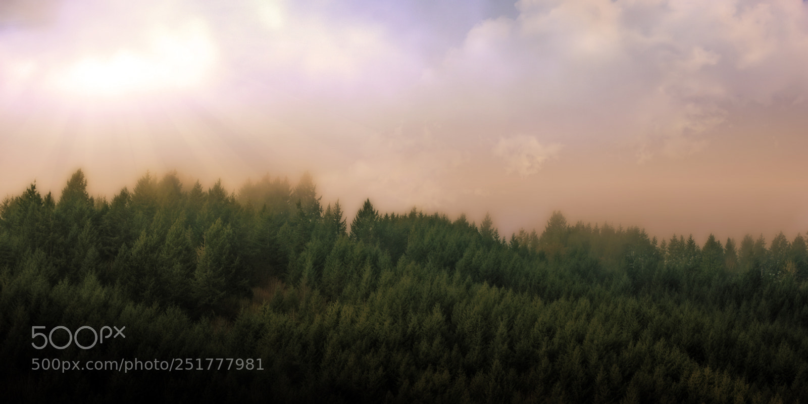 Nikon D7200 sample photo. Oregon views photography