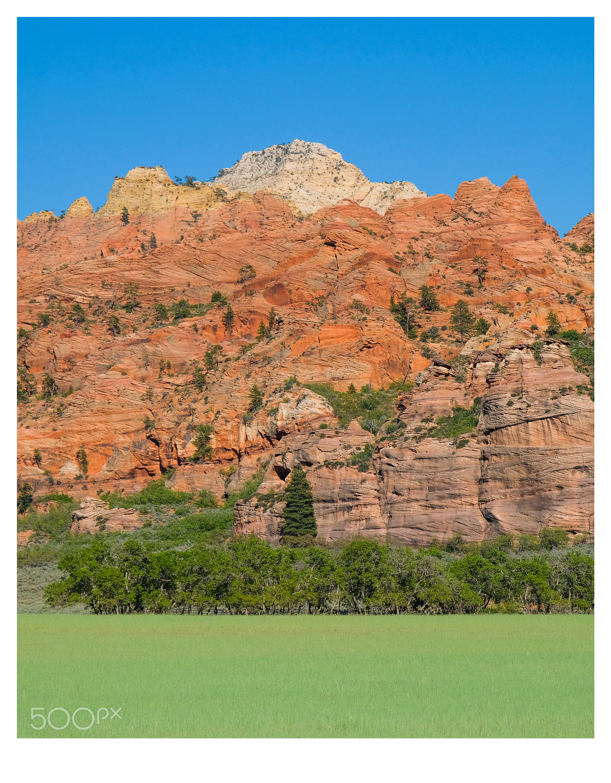 Fujifilm X-T2 sample photo. Kolob terrace road photography