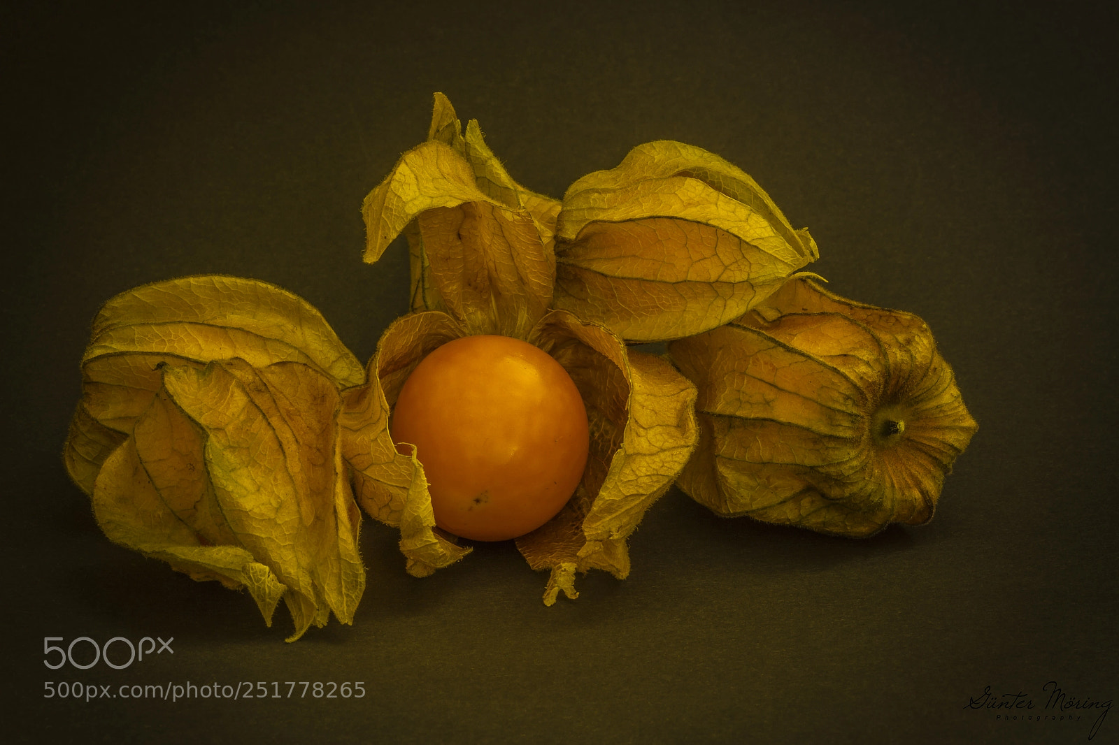 Canon EOS 7D sample photo. Physalis photography