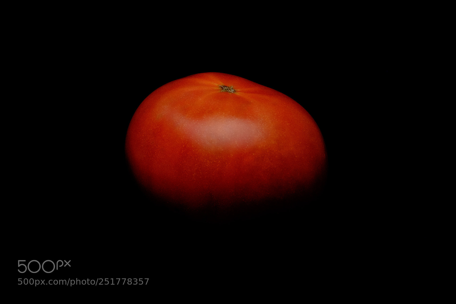 Fujifilm X-T10 sample photo. Tomate photography