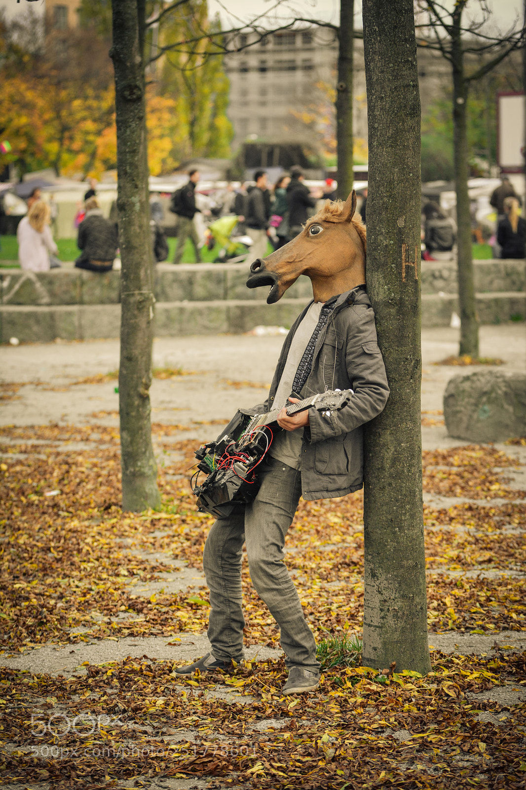 Nikon D5200 sample photo. The musical horse photography
