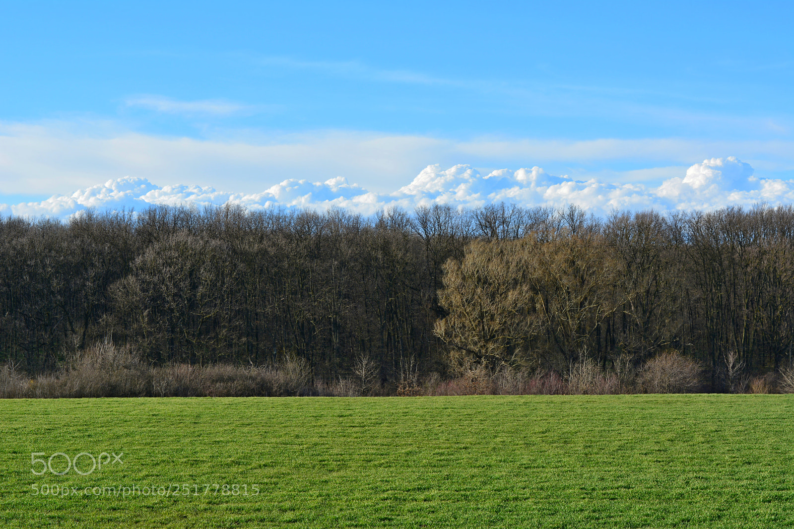 Nikon D5200 sample photo. Clouds behind the forrest photography