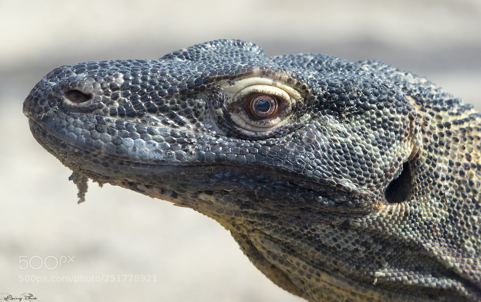 Nikon D600 sample photo. Varent de comodo photography