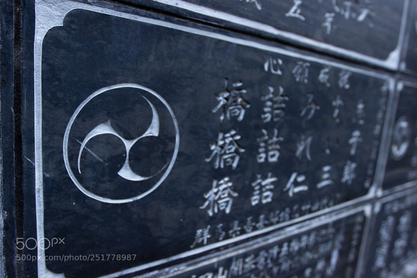 Canon EOS 600D (Rebel EOS T3i / EOS Kiss X5) sample photo. Circle photography