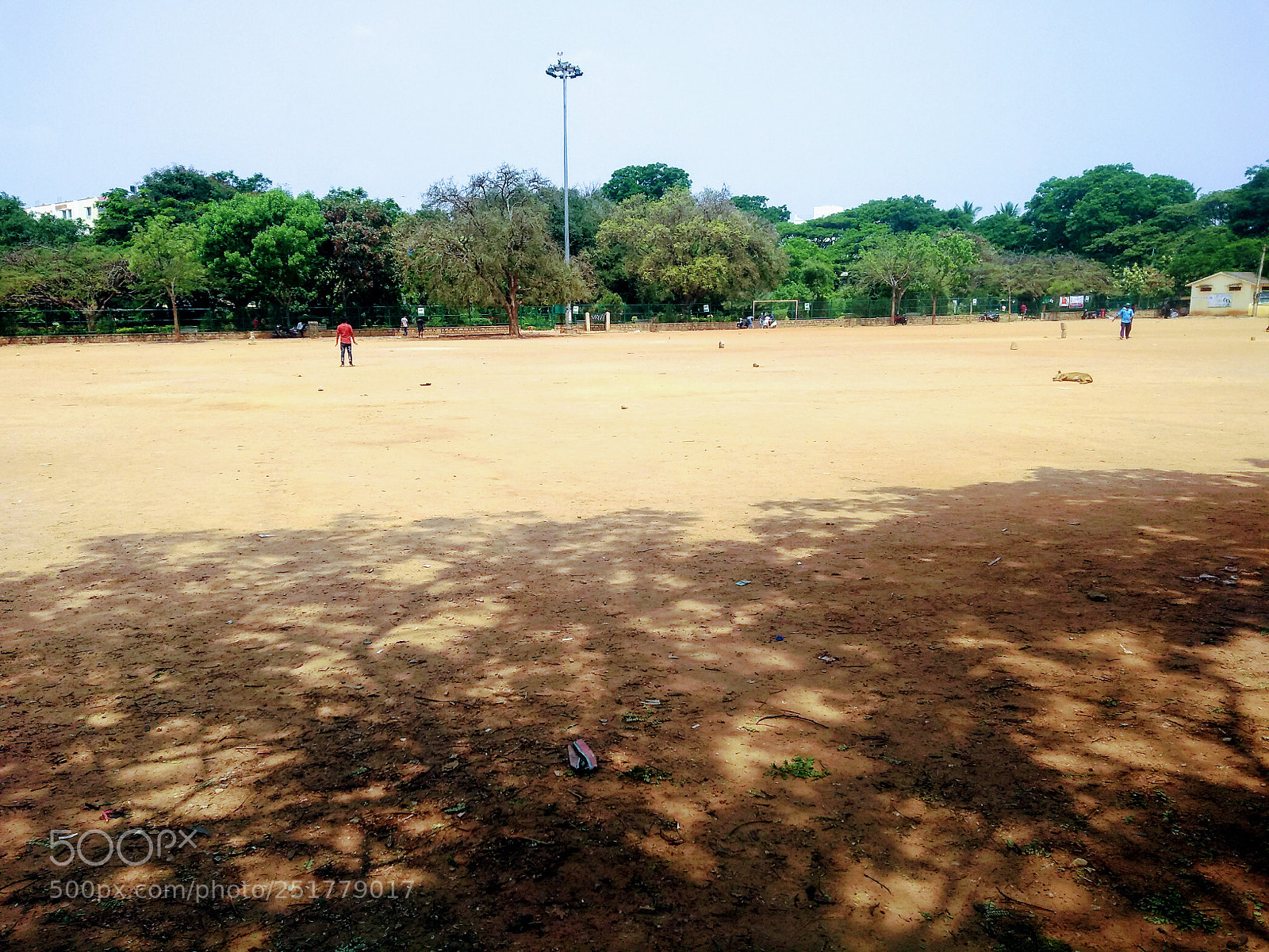 Motorola Moto G (5S) Plus sample photo. Play ground - cricket photography