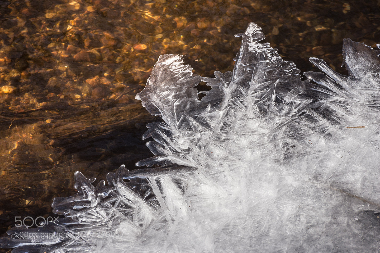 Nikon D610 sample photo. Poland landscapes photography