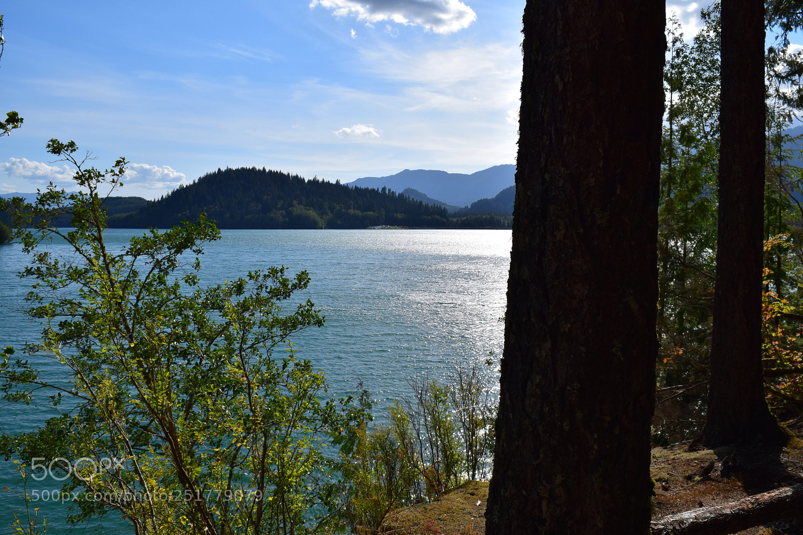 Nikon D5300 sample photo. Pacific northwest hiking photography