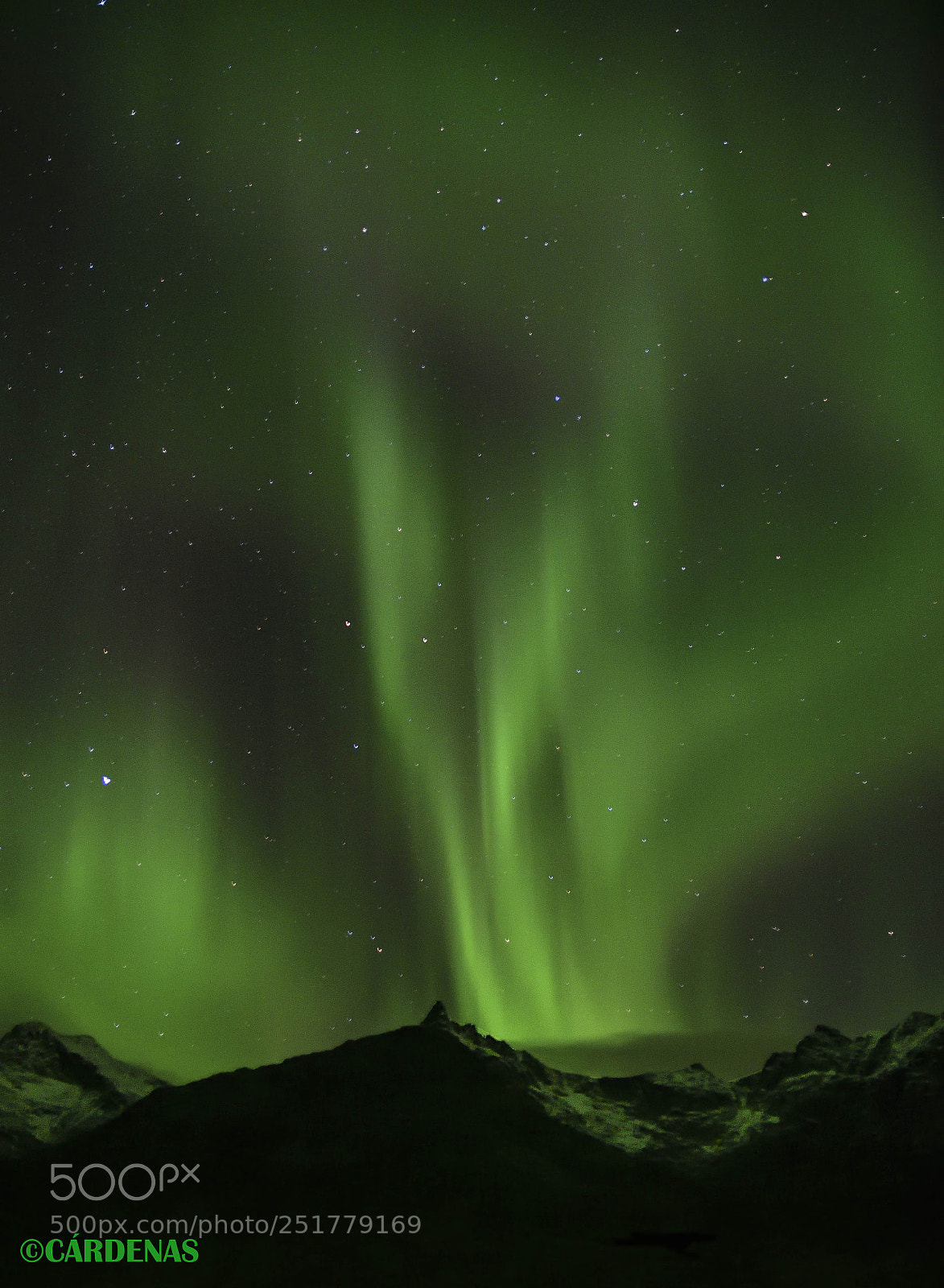 Nikon D500 sample photo. Noruega photography