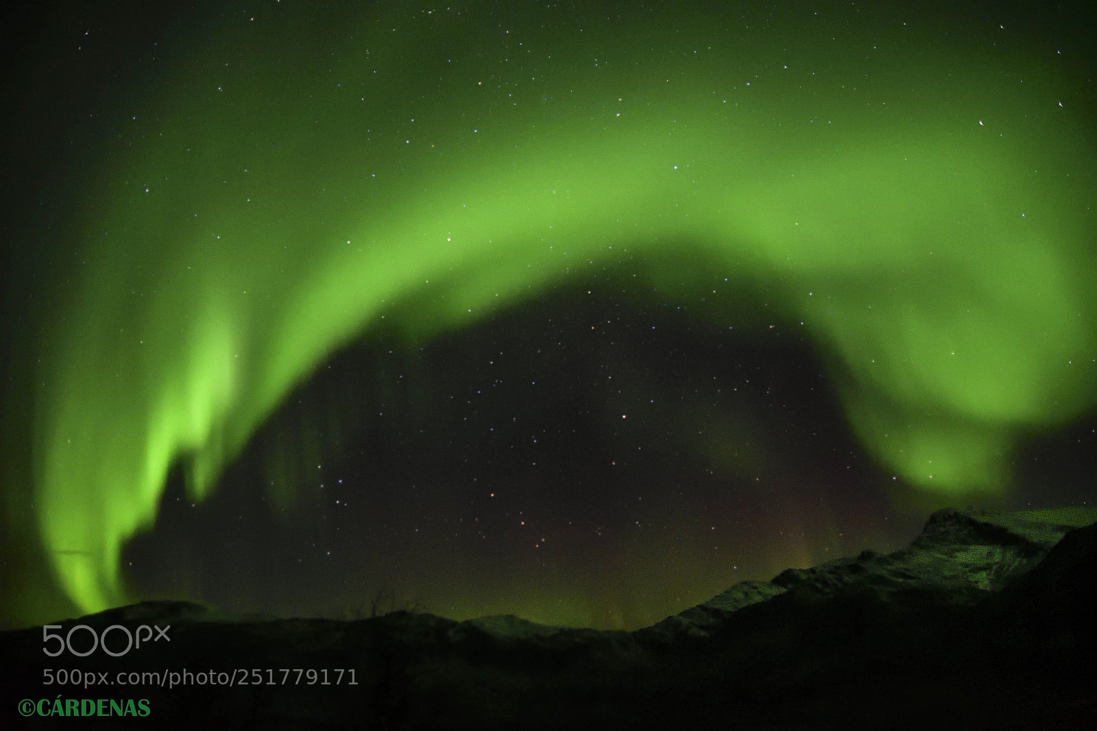Nikon D500 sample photo. Noruega photography