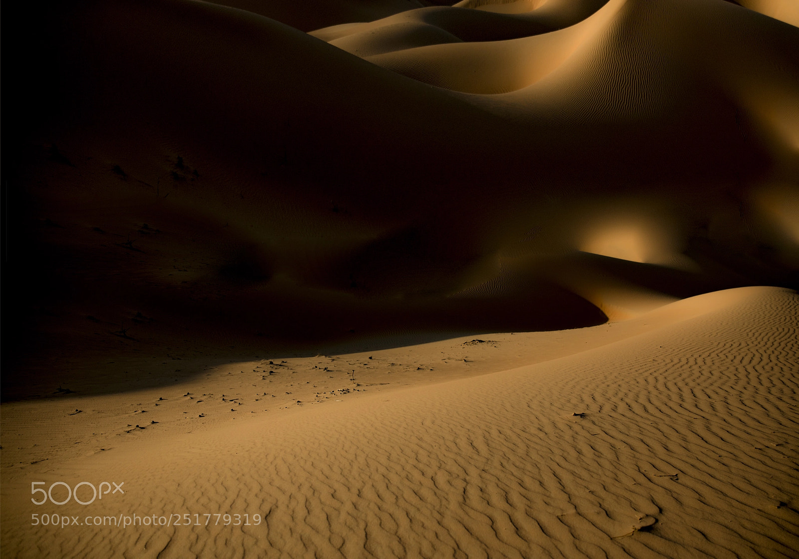 Canon EOS 5DS R sample photo. Silhouette day photography