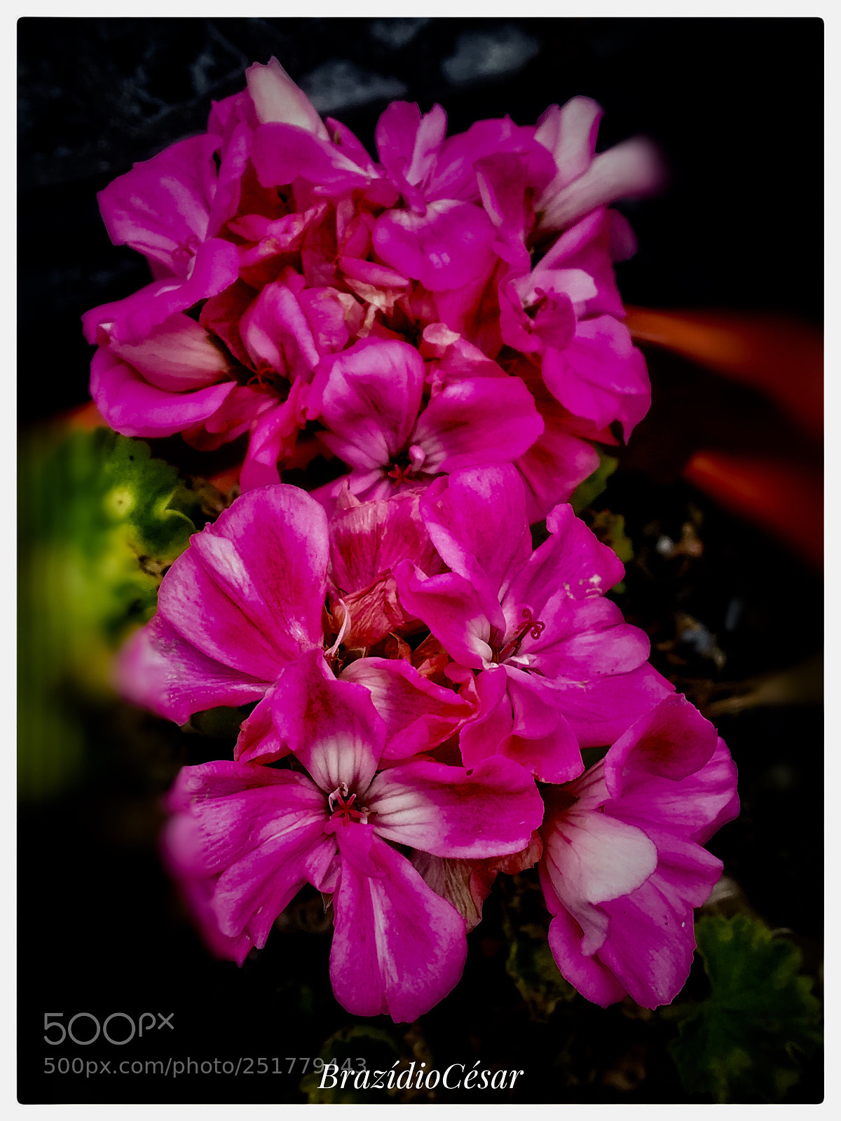 Apple iPhone 6s sample photo. Untitled photography