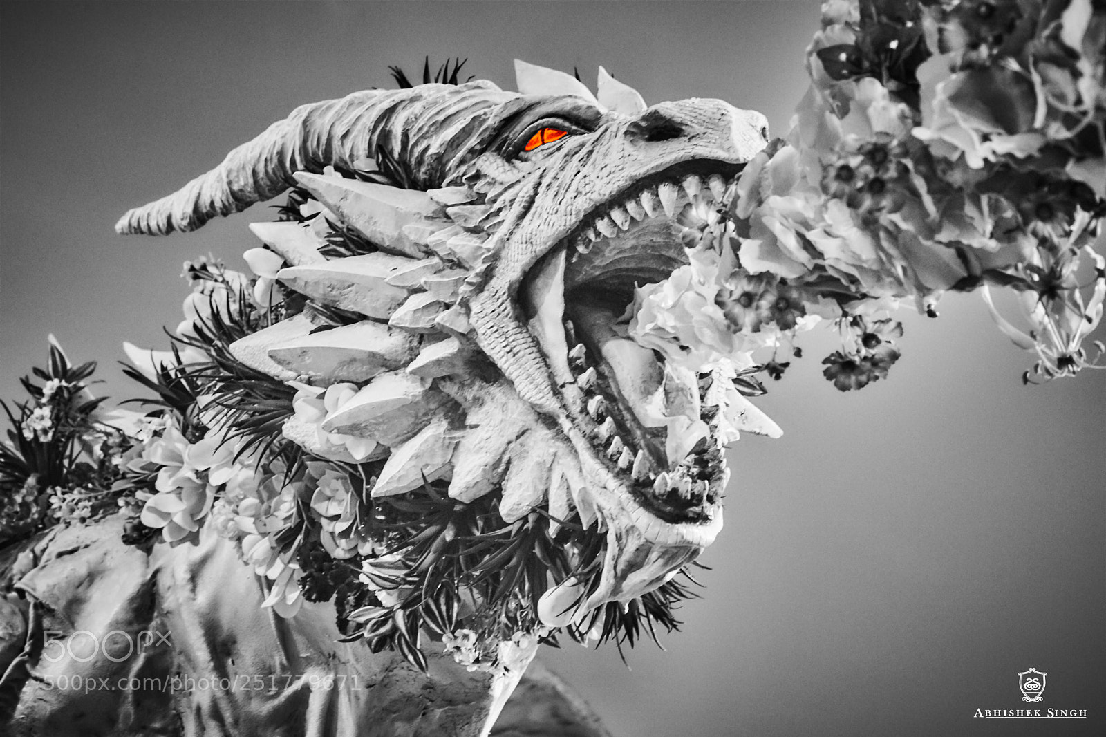 Canon EOS 750D (EOS Rebel T6i / EOS Kiss X8i) sample photo. Red eyed flower dragon photography