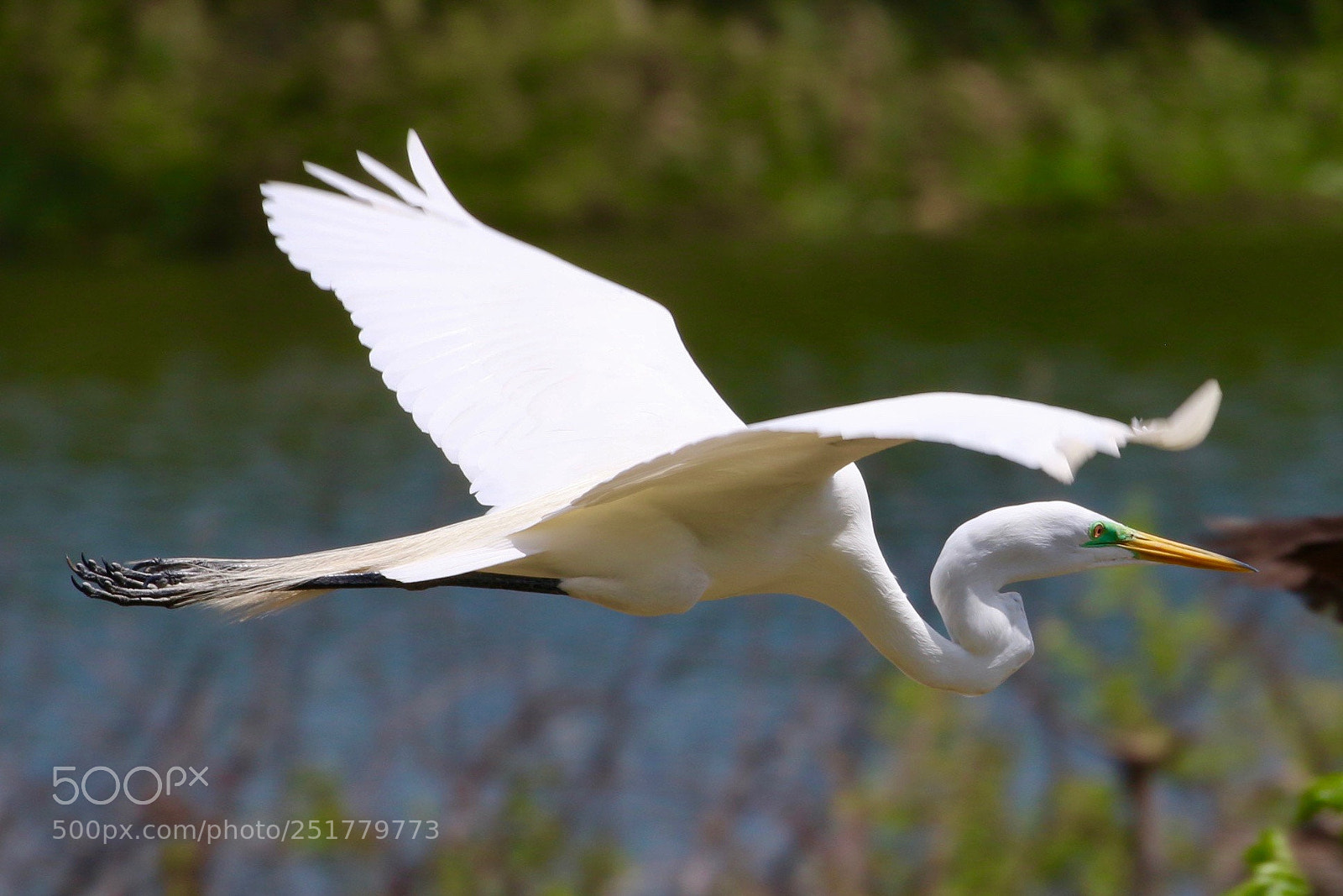 Canon EOS 70D sample photo. Img photography