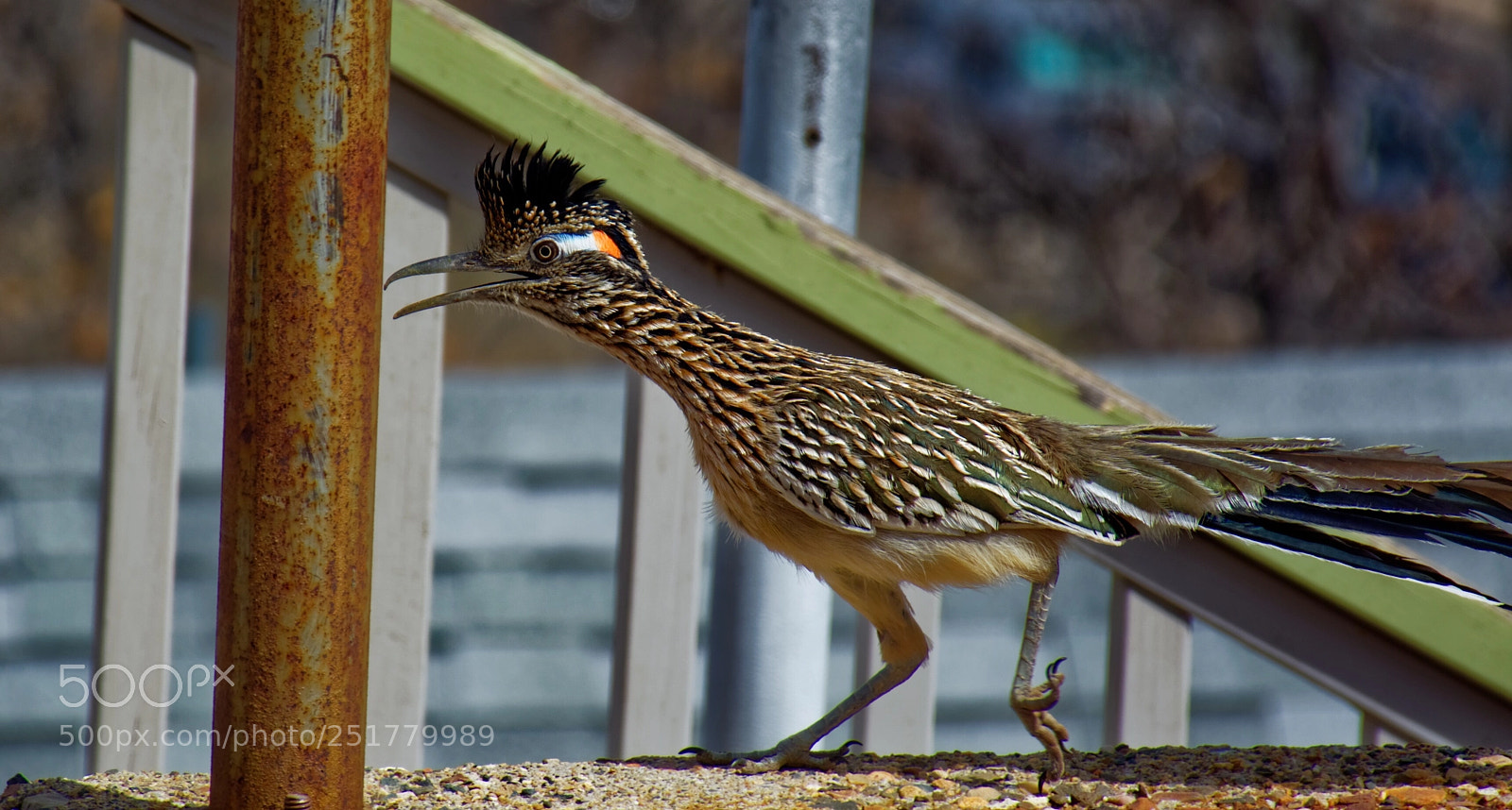 Nikon D7100 sample photo.  beep beep photography