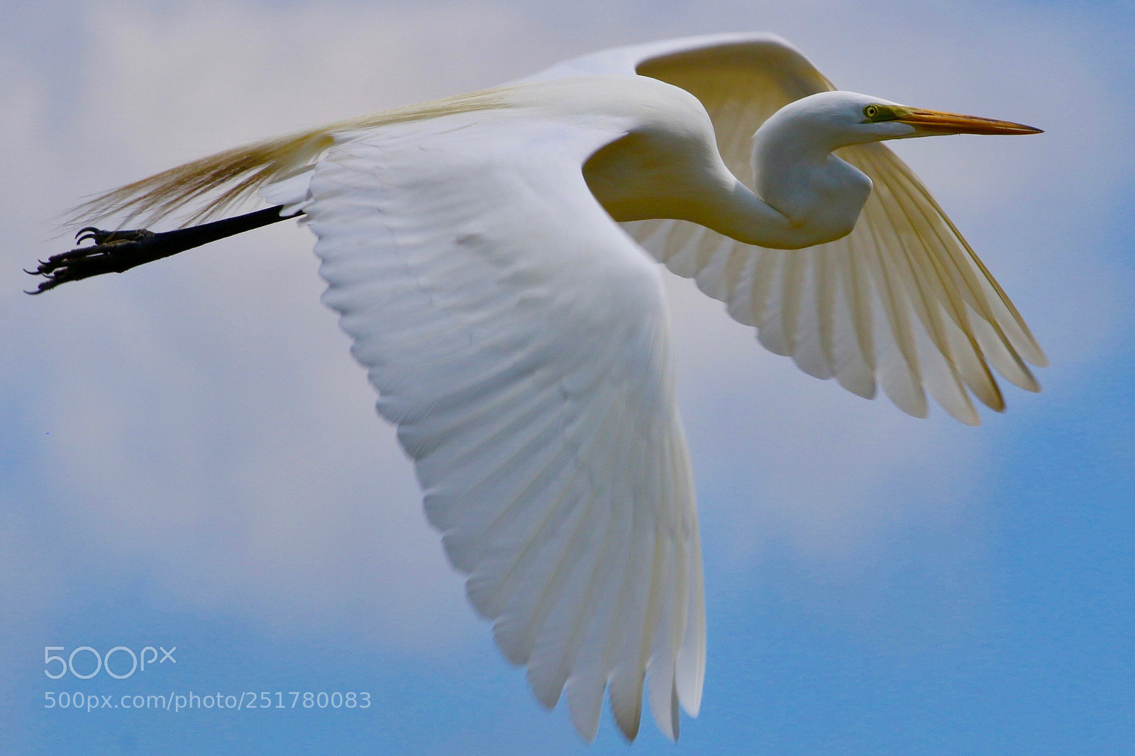 Canon EOS 70D sample photo. Img photography