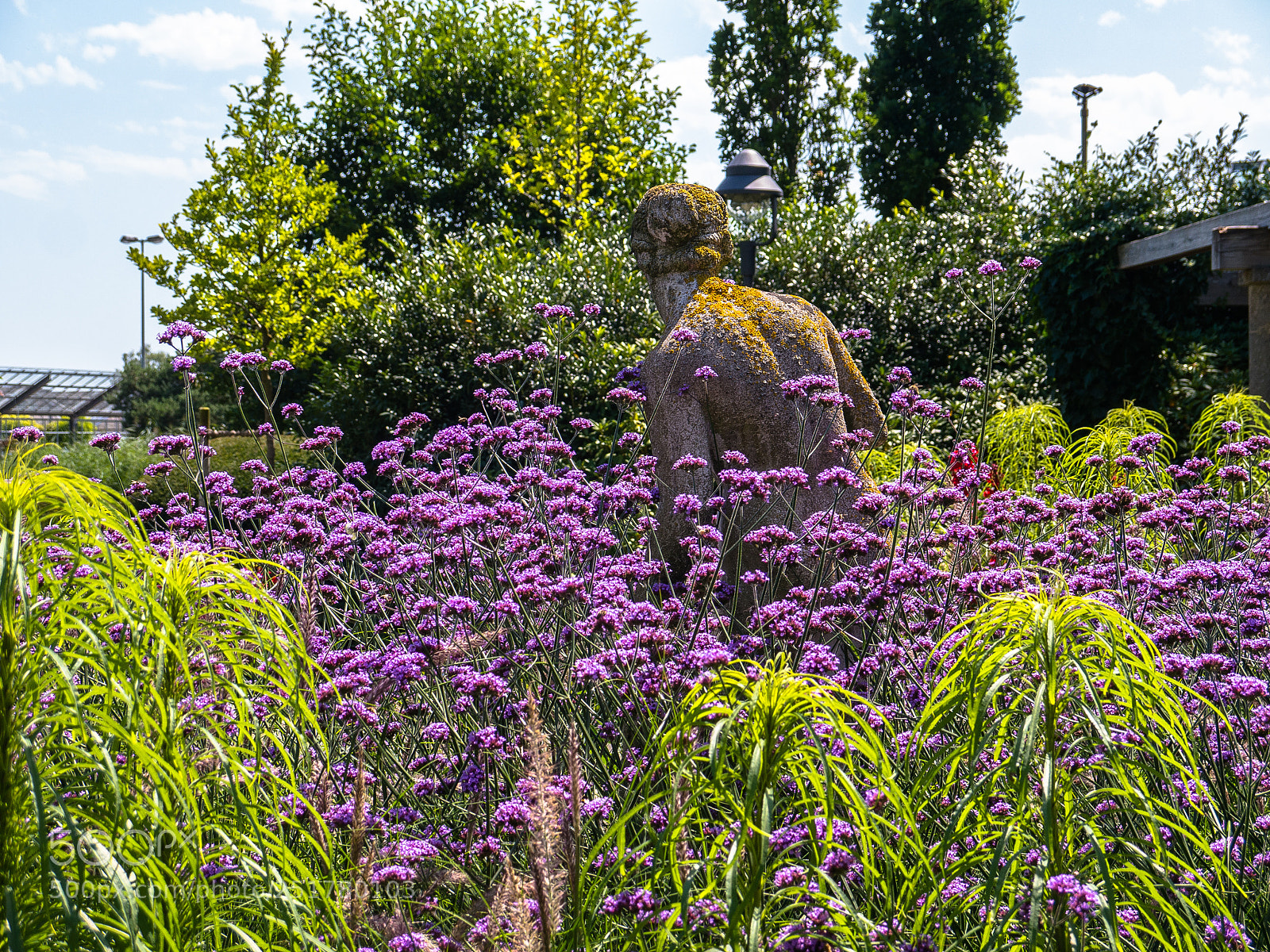 Panasonic Lumix DMC-G5 sample photo. Dehner blumenpark photography