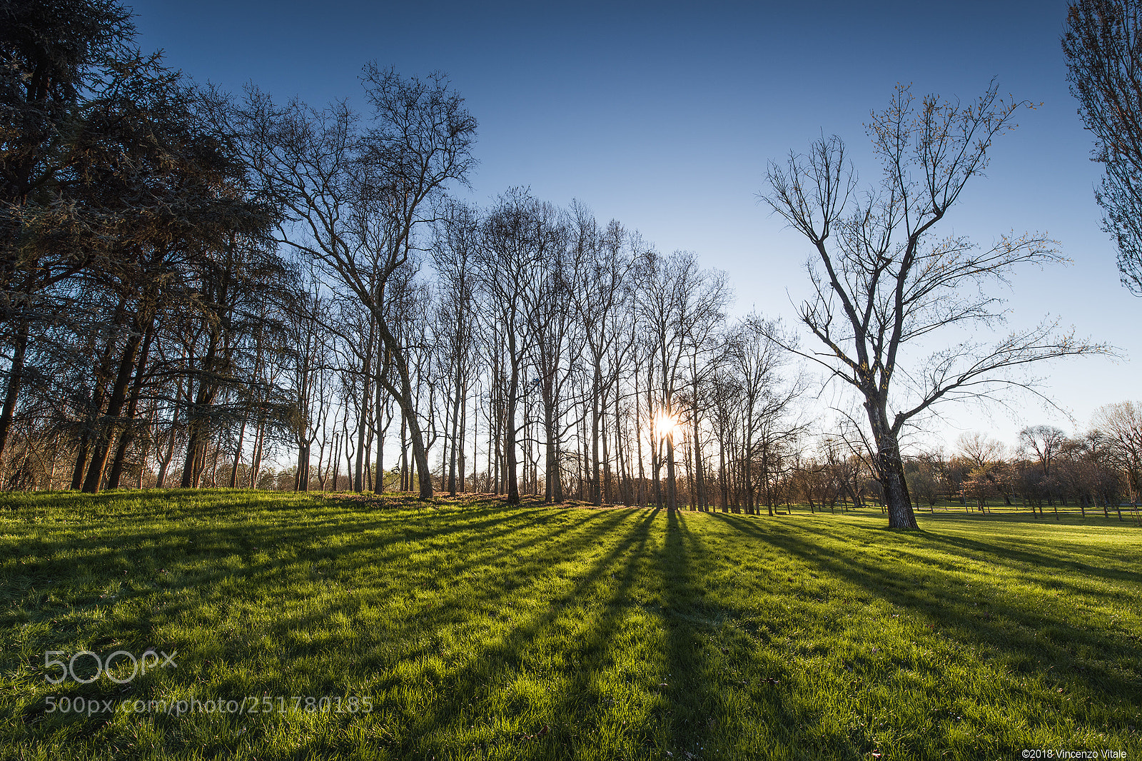 Nikon D810 sample photo. My paradise photography