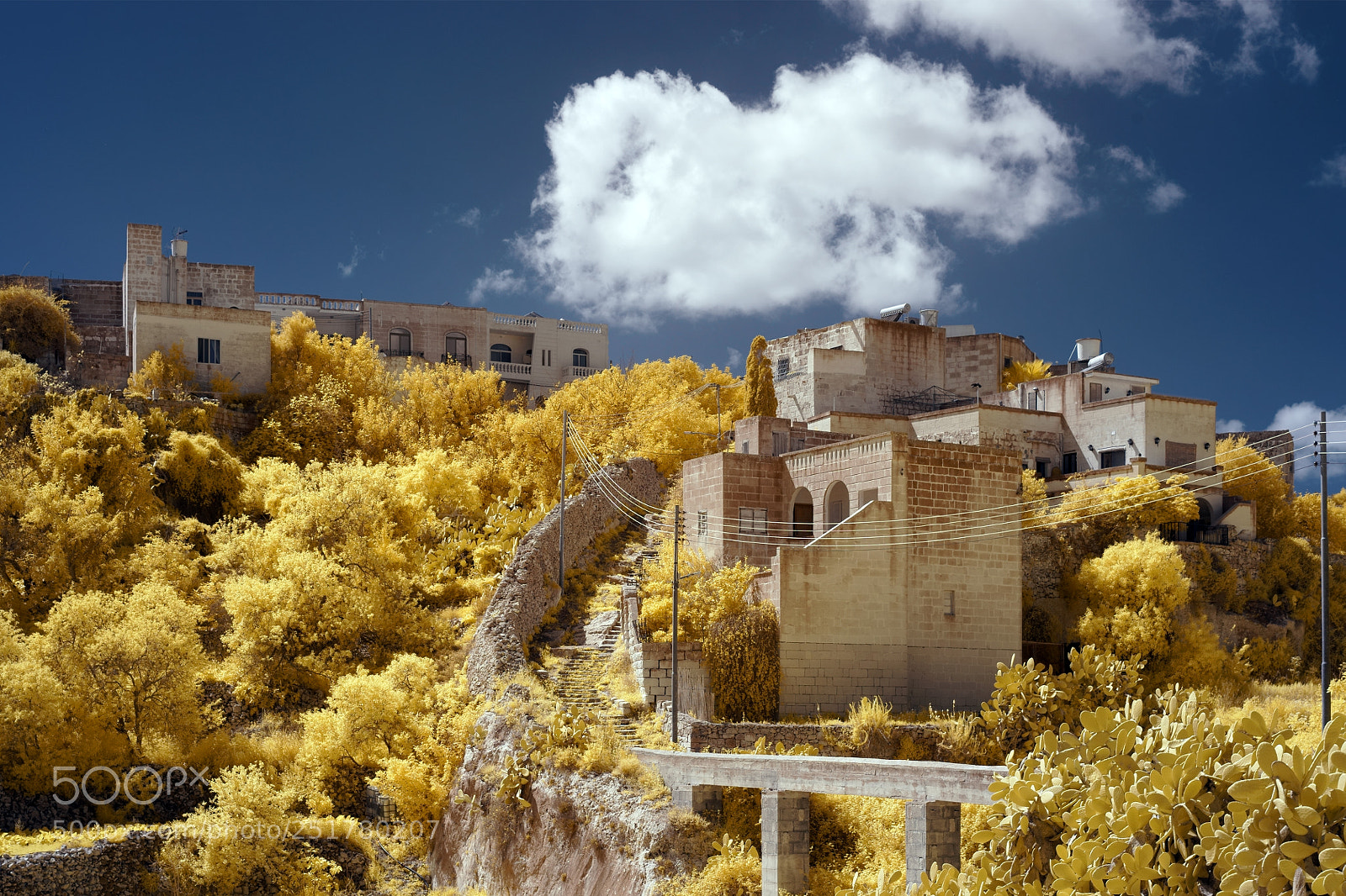 Sony a7 sample photo. Malta garden - ir photography