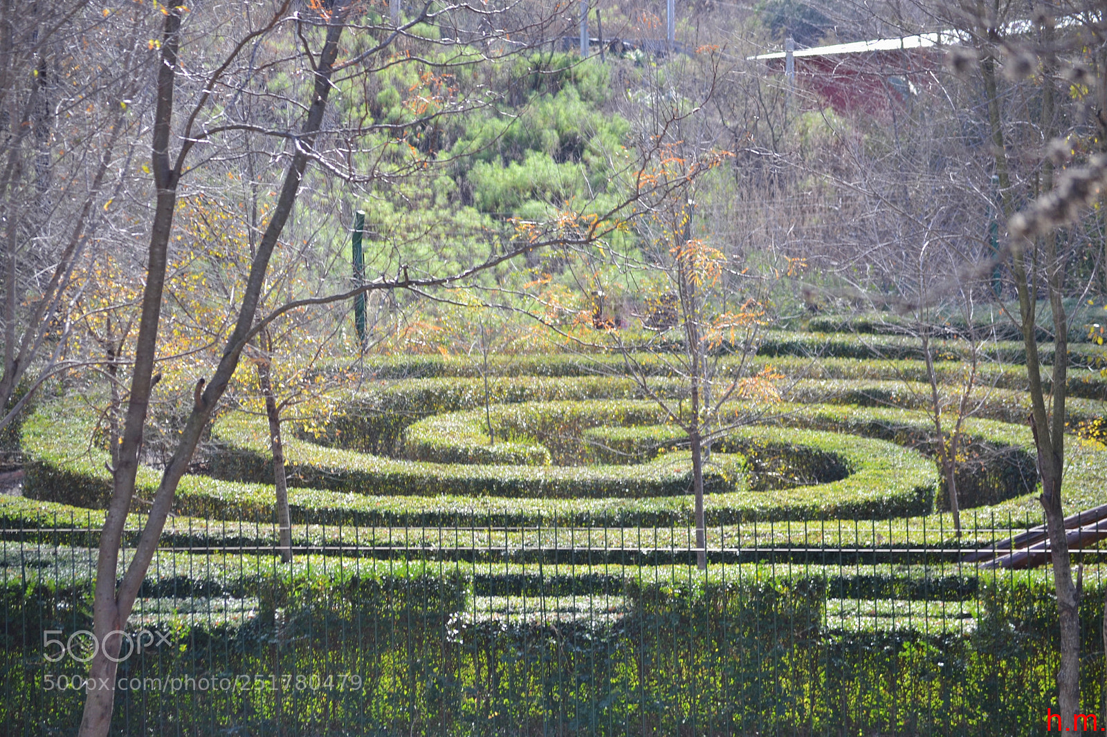 Nikon D3100 sample photo. Aacbo photography