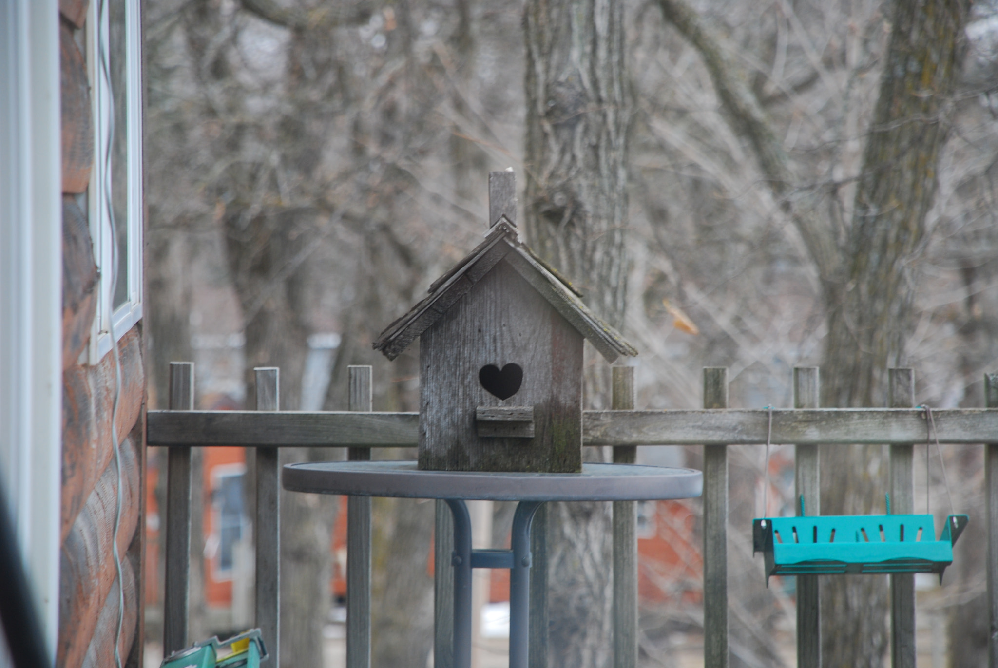 Nikon D80 sample photo. Bird house photography