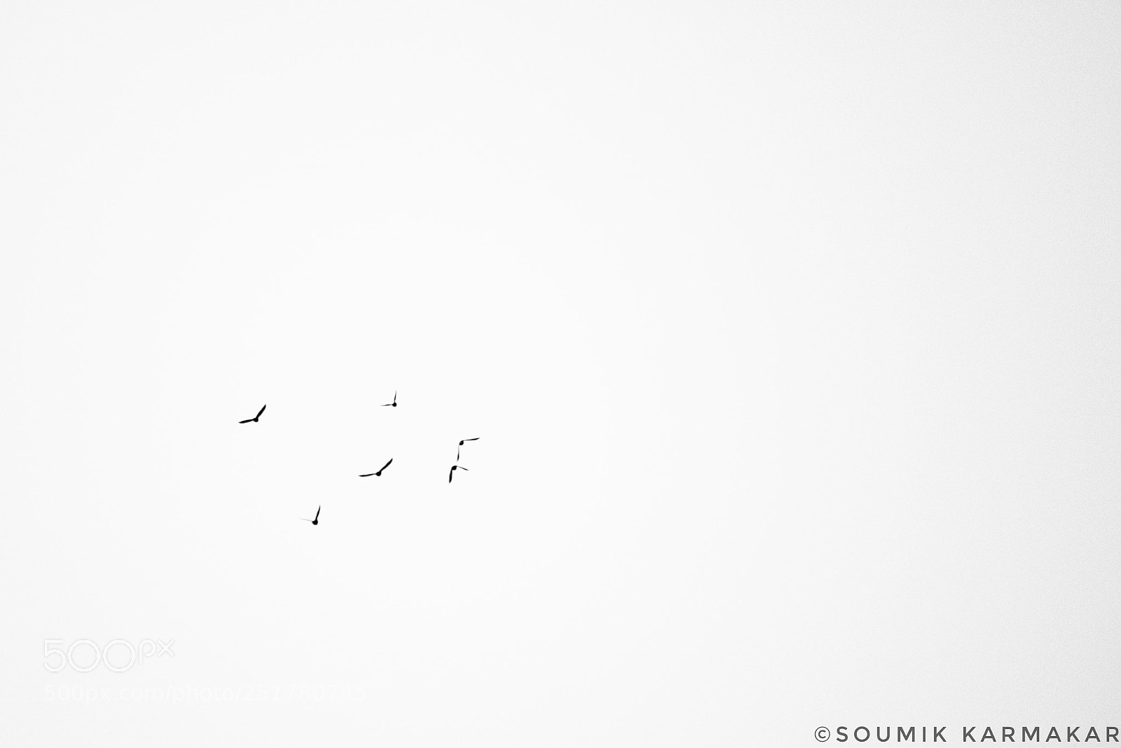 Canon EOS 750D (EOS Rebel T6i / EOS Kiss X8i) sample photo. I wanna fly into photography