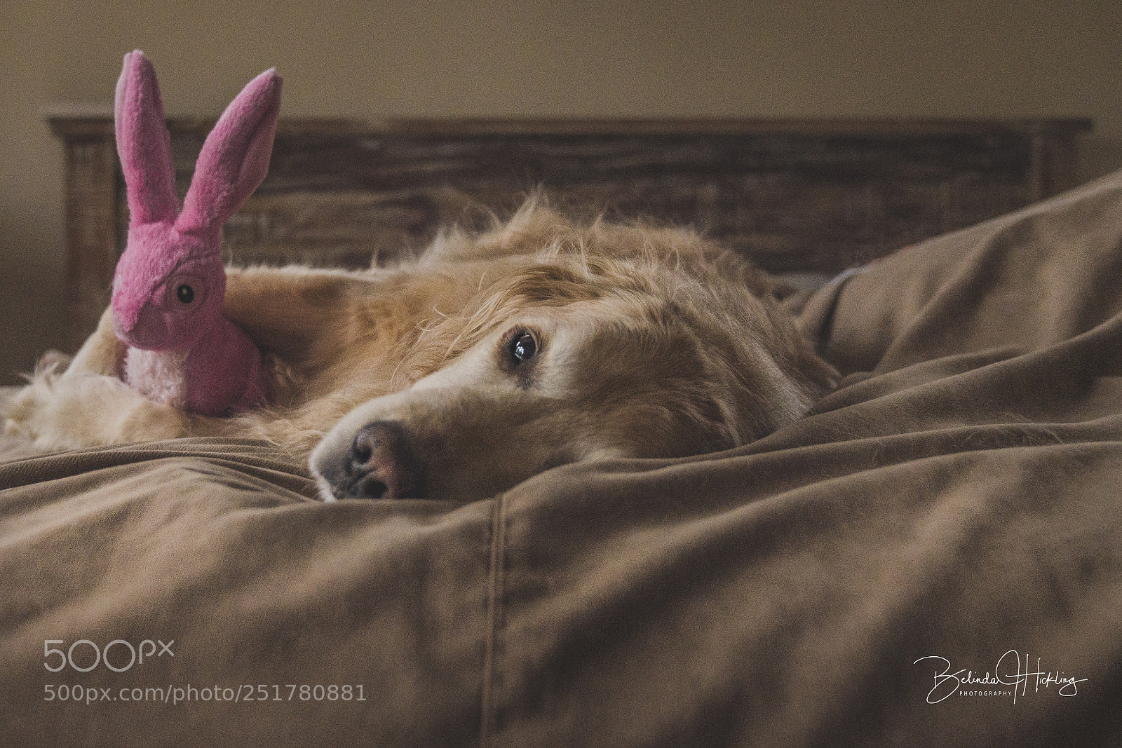 Sony a7R III sample photo. Happy easter photography