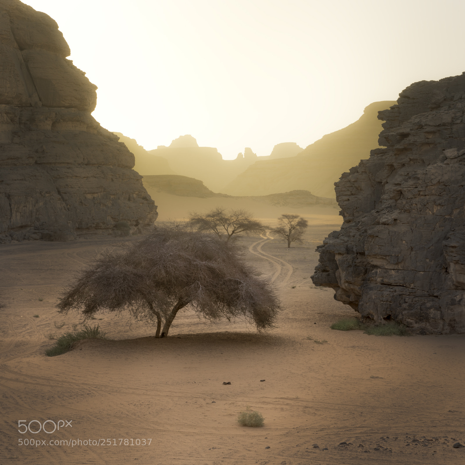 Nikon D810 sample photo. Light through rocks photography