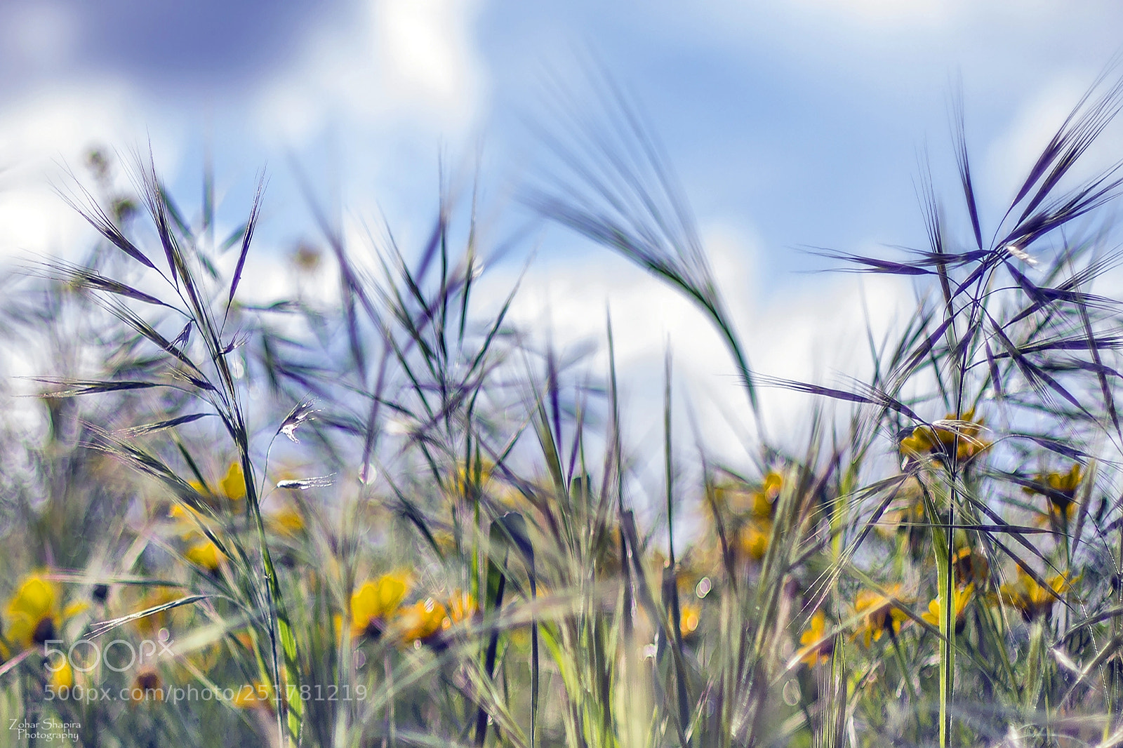 Canon EOS 600D (Rebel EOS T3i / EOS Kiss X5) sample photo. Blue wind photography