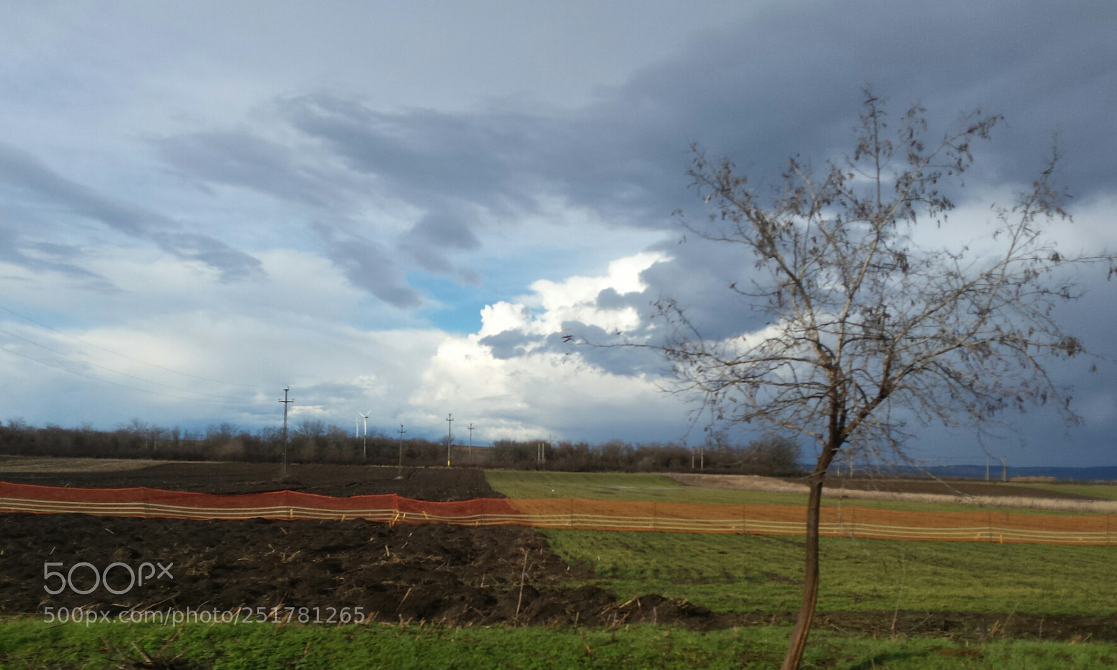 Samsung Galaxy S4 sample photo. Spring photography